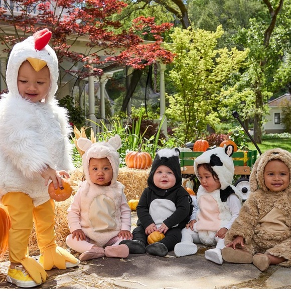 Baby Chicken Costume Halloween Fall Baby Infant Size 0-6 Months - Picture 4 of 13